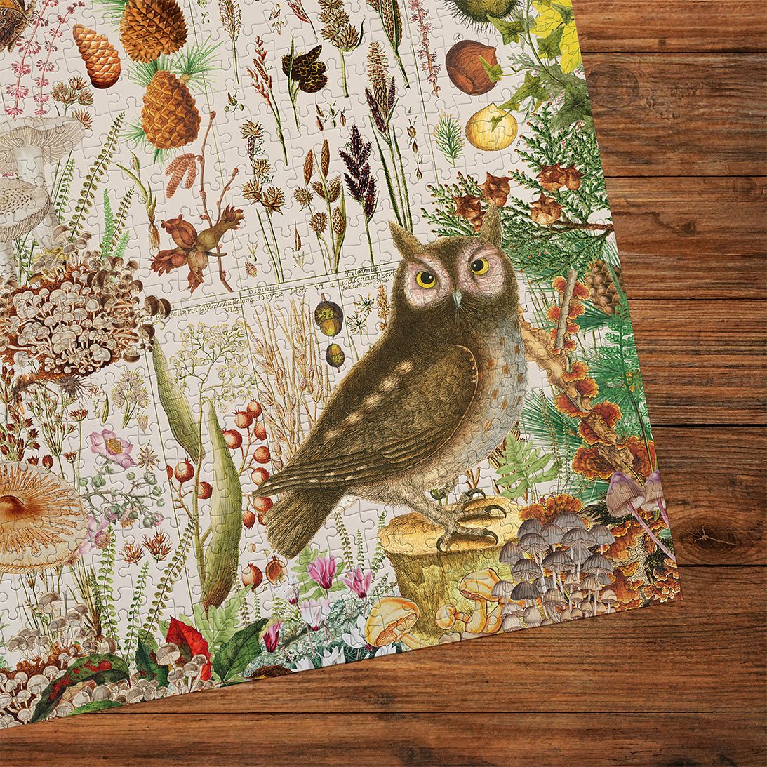 Puzzle de 1000 pièces - RHS: Fall FloraGibsons