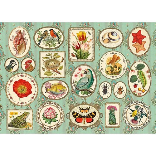 Puzzle 1000 Pièces En Pochon - NaturalisteKiub