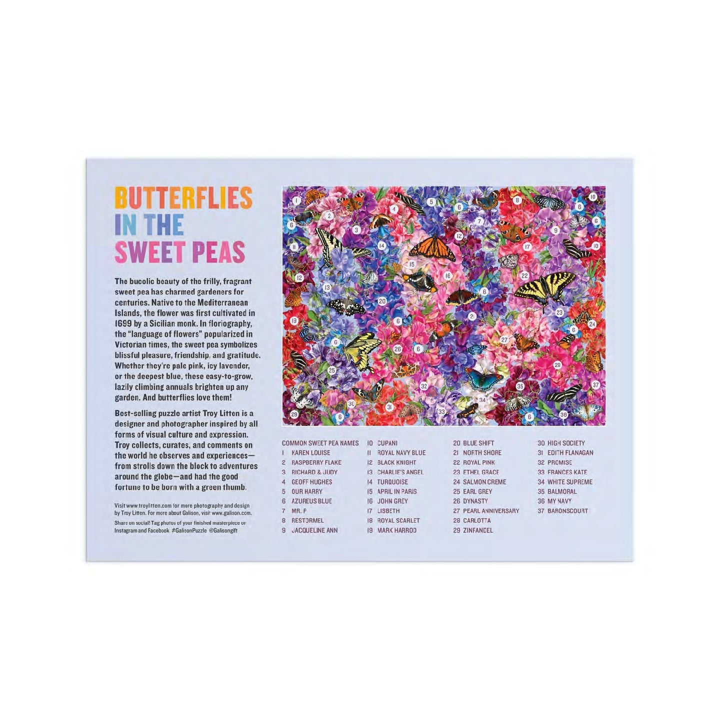 Puzzle 1000 Pièces Galison - Des Papillons dans les Pois Sucrés - Troy LittenGalison