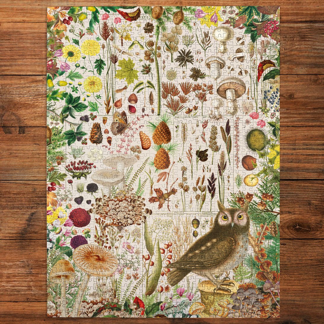 Puzzle de 1000 pièces - RHS: Fall FloraGibsons