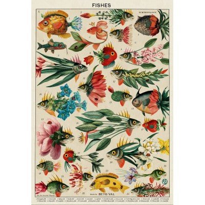 Puzzle 1000 Pièces Grafika - PoissonsGrafika - MIF