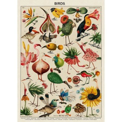 Puzzle 500 Pièces Grafika - Birds by Beto ValGrafika - MIF