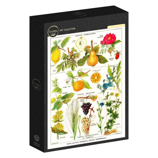 Puzzle de 1000 Pièces - Illustration du Larousse Medical Illustré : Plantes Astringentes et Apéritives, 1912Grafika Puzzles