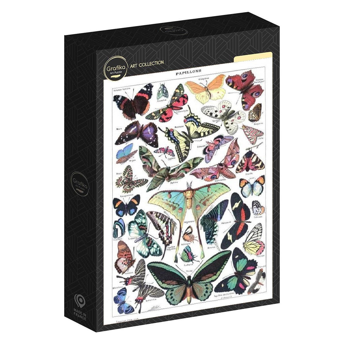 Puzzle 1000 pièces - Illustration du Larousse pour Tous : Papillons, 1907 - 1910Grafika