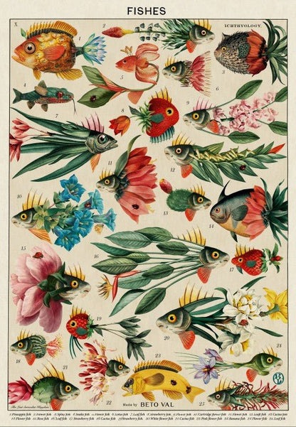 Puzzle 1000 Pièces - PoissonsGrafika