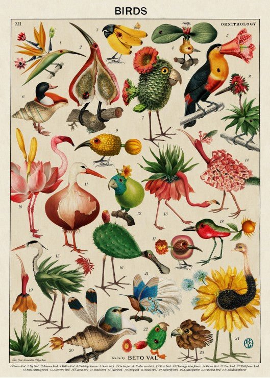 Puzzle 500 Pièces - Birds by Beto ValGrafika