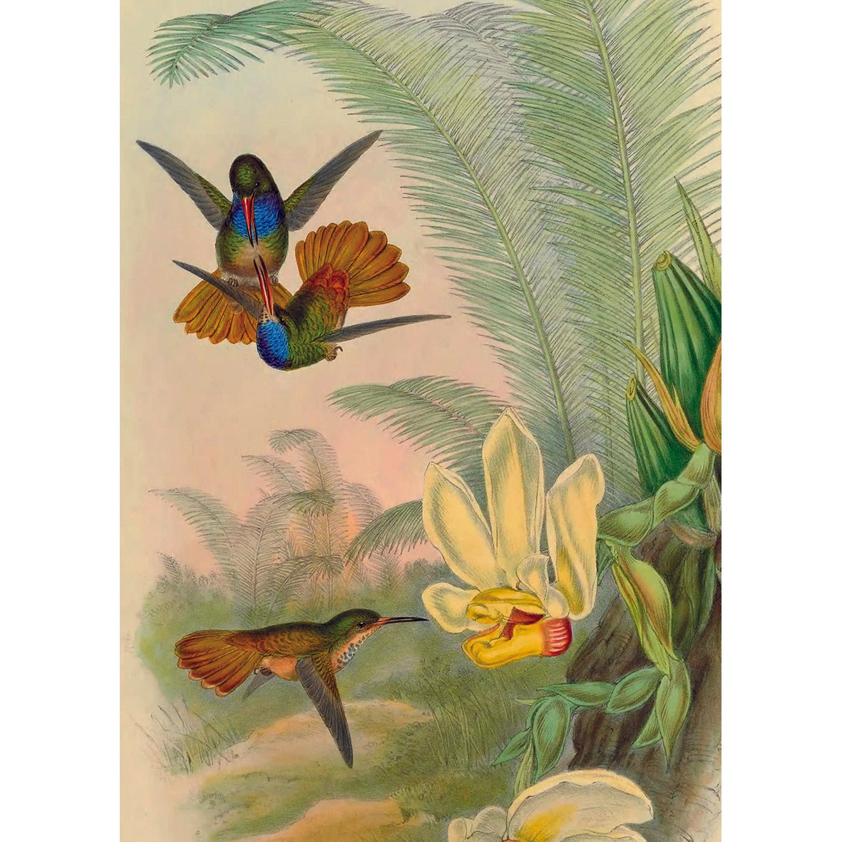 Puzzle 1000 Pièces En Pochon - The Dybdahl V ColibrisKiub