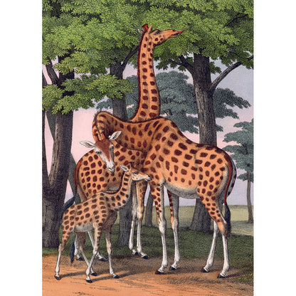 Puzzle 1000 Pièces En Pochon - The Dybdahl V GirafesKiub