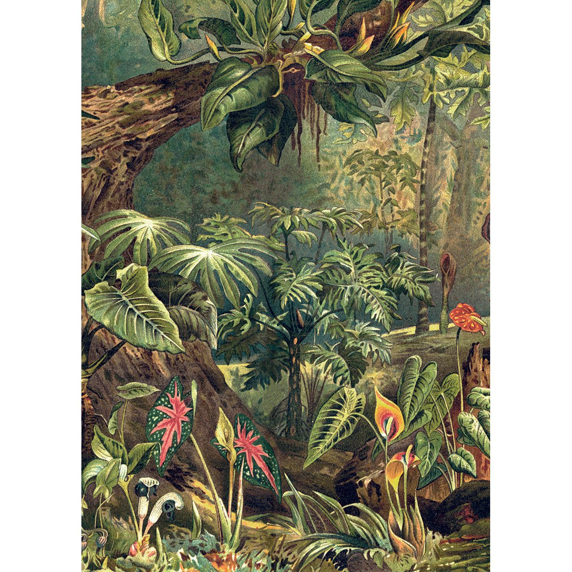 Puzzle 1000 Pièces En Pochon - The Dybdahl V JungleKiub