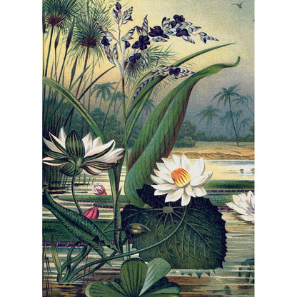 Puzzle 1000 Pièces En Pochon - The Dybdahl V NenupharsKiub