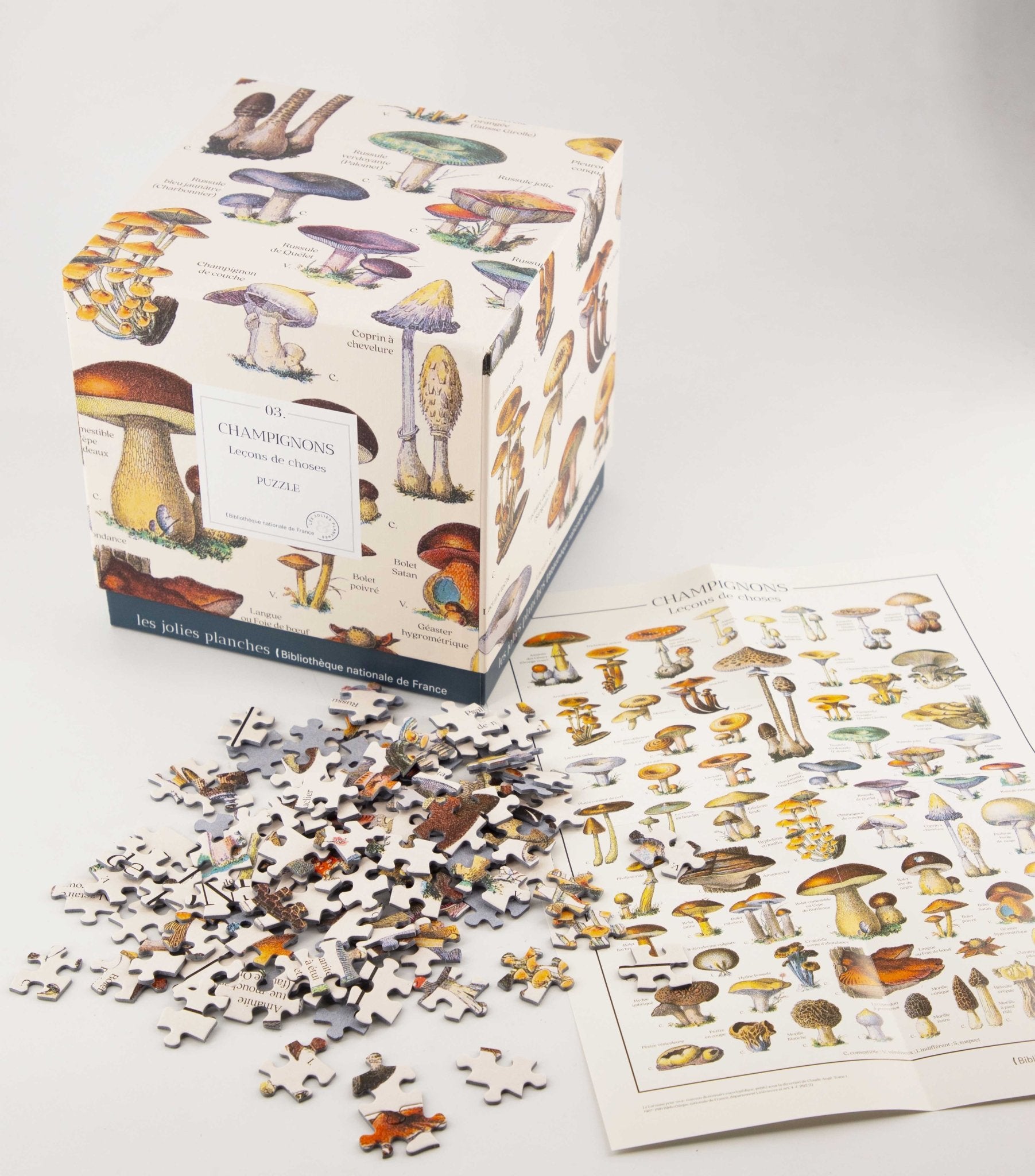 Puzzle 1000 pièces - ChampignonsLes Jolies Planches