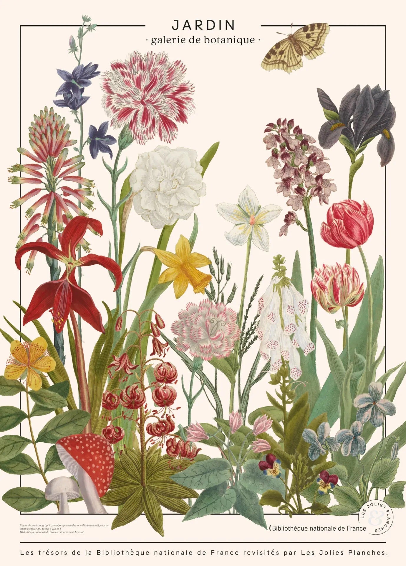 Puzzle 1000 pièces - JardinLes Jolies Planches