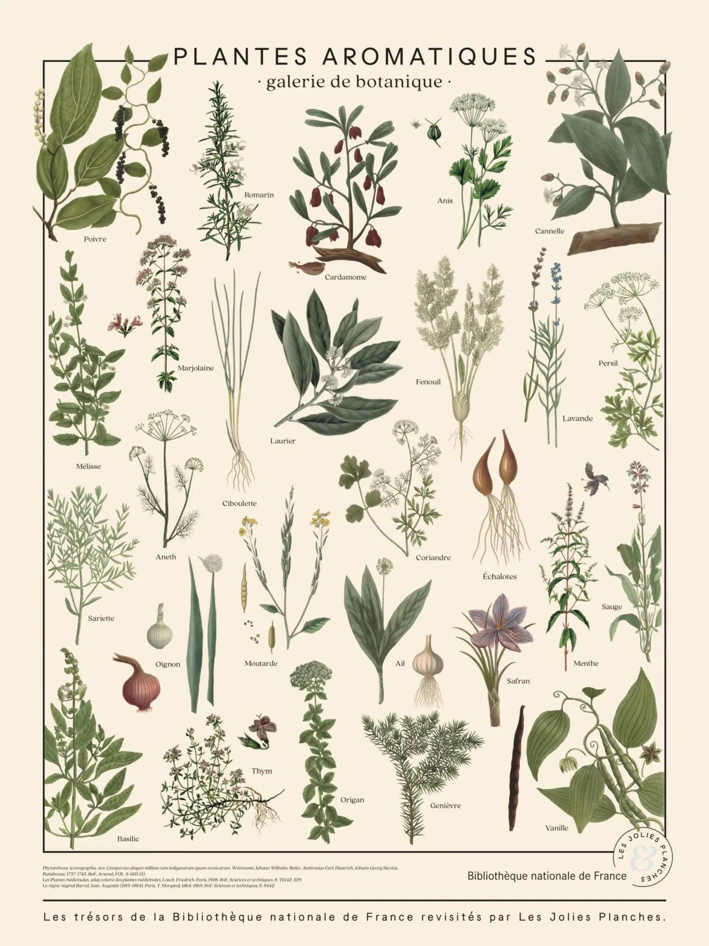 Puzzle 1000 pièces - Plantes aromatiquesLes Jolies Planches