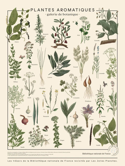 Puzzle 1000 pièces - Plantes aromatiquesLes Jolies Planches
