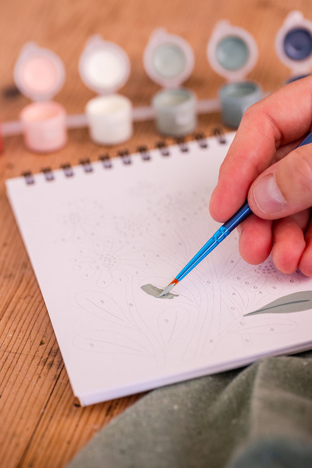 Peinture aux numéros - Fleurs des ChampsMaison Joliette