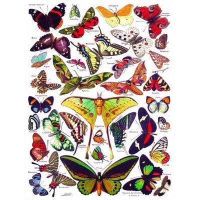 Puzzle 1000 Pièces New York Puzzle Company - Butterflies - PapillonsNewYorkPuzzleCompany