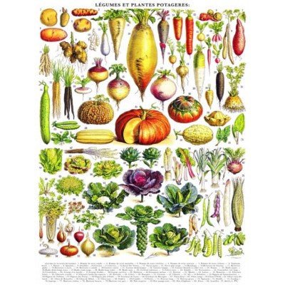 Puzzle 1000 Pièces New York Puzzle Company - Vegetables - LégumesNewYorkPuzzleCompany