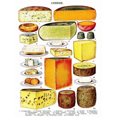 Puzzle 500 Pièces New York Puzzle Company - Pièces XXL - CheeseNewYorkPuzzleCompany