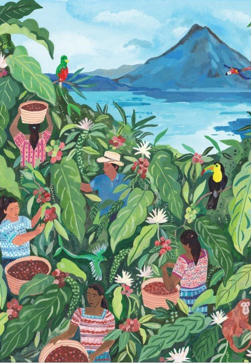 Puzzle 1000 Pièces Pieces & Peace - GuatemalaPieces & Peace